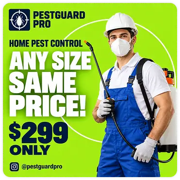 Professional home pest control exterminator